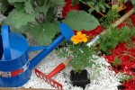 Paillage Organique Coloré Blanc - Potager