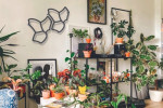 Treillis plante grimpante Tessa Wall Garden