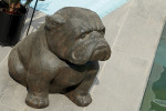 Statue Bulldog au bord d'une piscine