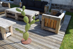 Cactus métal figuier terrasse