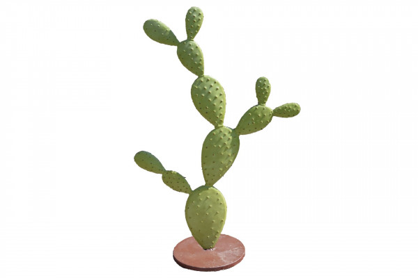 Cactus métal Opuntia