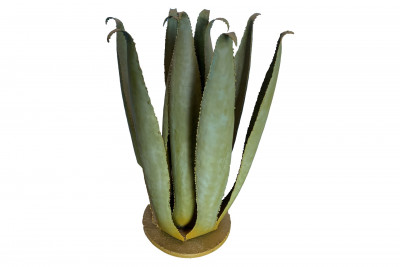 Cactus métal Agave